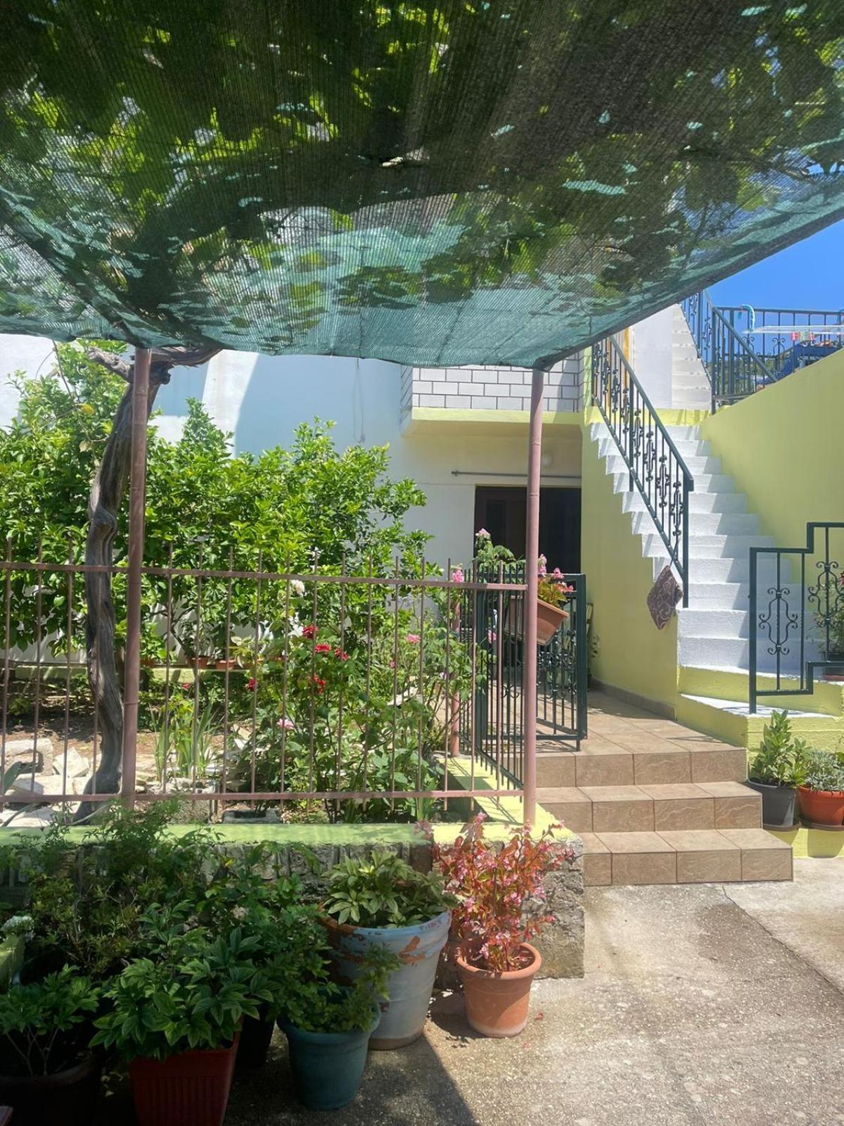 Apartment Bilic